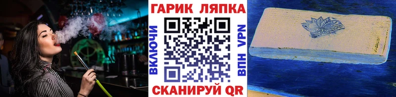 Купить где Гудермес ГАШ Premium