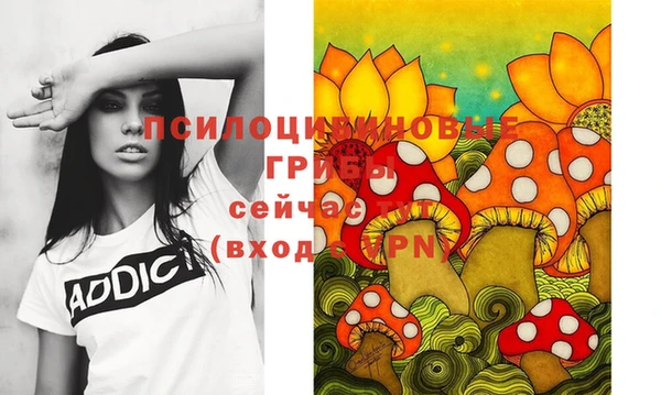 дживик Алексин