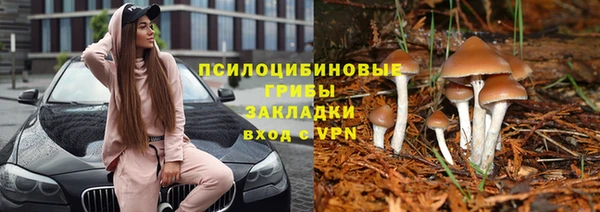 Альфа ПВП Алексеевка