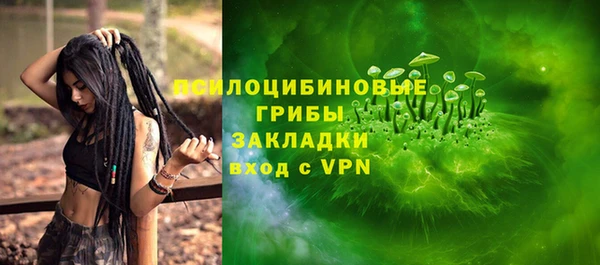 винт Алзамай