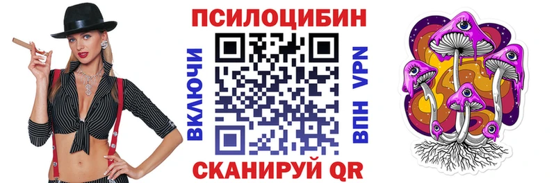 Купить закладки  Гудермес  Галлюциногенные грибы GOLDEN TEACHER 