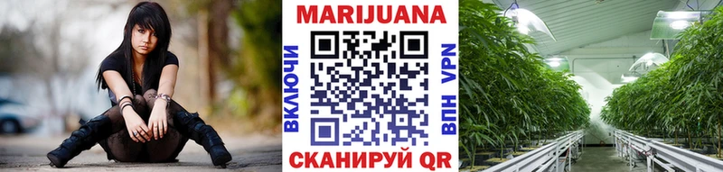 Бошки марихуана OG Kush  Купить закладки  Гудермес 